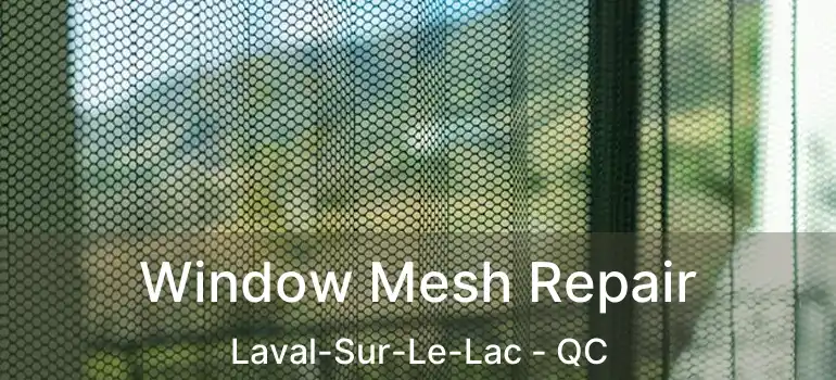  Window Mesh Repair Laval-Sur-Le-Lac - QC