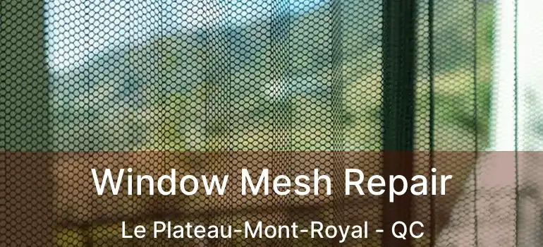  Window Mesh Repair Le Plateau-Mont-Royal - QC