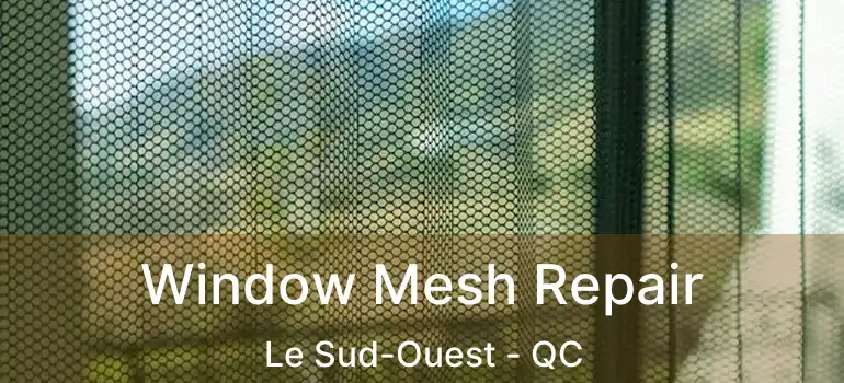  Window Mesh Repair Le Sud-Ouest - QC