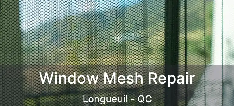  Window Mesh Repair Longueuil - QC