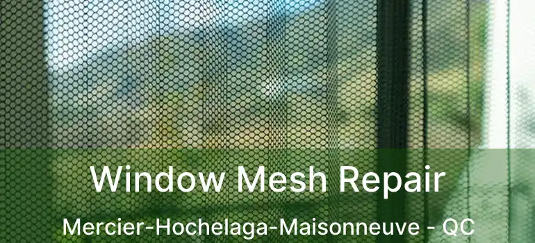  Window Mesh Repair Mercier-Hochelaga-Maisonneuve - QC
