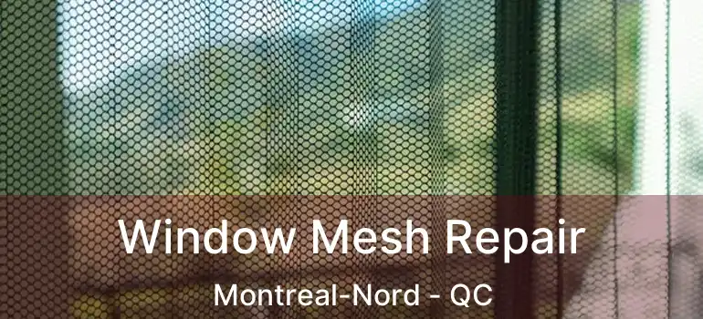  Window Mesh Repair Montreal-Nord - QC