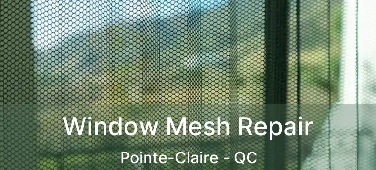  Window Mesh Repair Pointe-Claire - QC