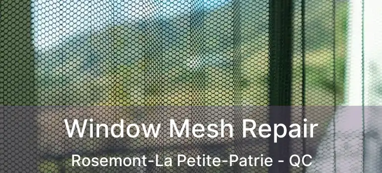  Window Mesh Repair Rosemont-La Petite-Patrie - QC