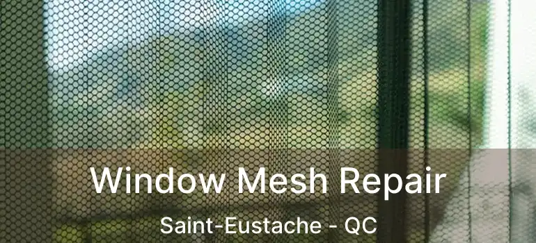  Window Mesh Repair Saint-Eustache - QC