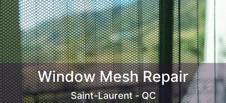  Window Mesh Repair Saint-Laurent - QC