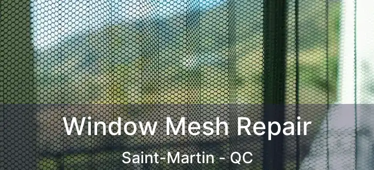  Window Mesh Repair Saint-Martin - QC