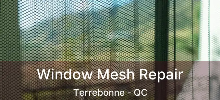  Window Mesh Repair Terrebonne - QC