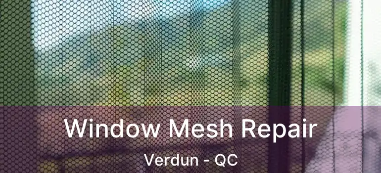  Window Mesh Repair Verdun - QC