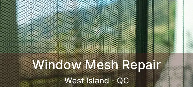  Window Mesh Repair West Island - QC