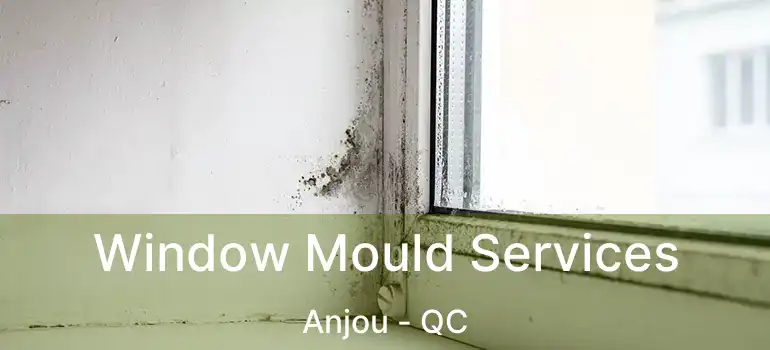  Window Mould Services Anjou - QC