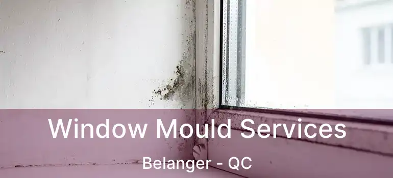  Window Mould Services Belanger - QC