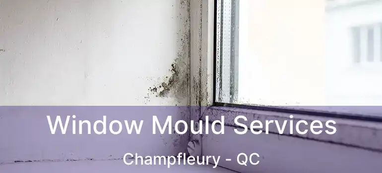  Window Mould Services Champfleury - QC