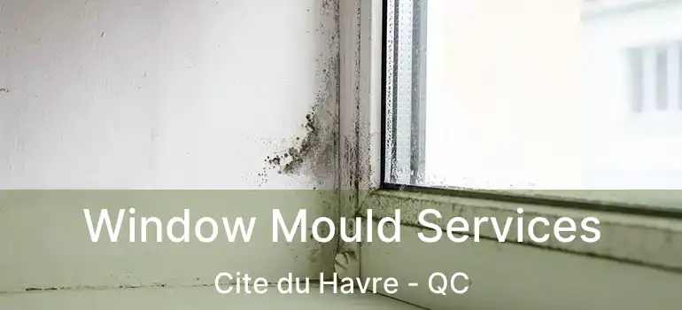  Window Mould Services Cite du Havre - QC