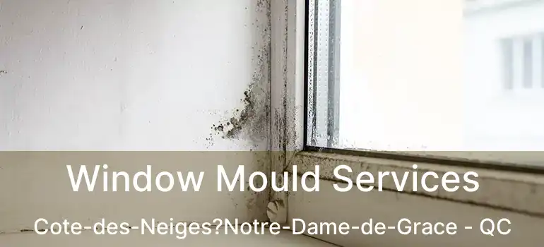  Window Mould Services Cote-des-Neiges?Notre-Dame-de-Grace - QC