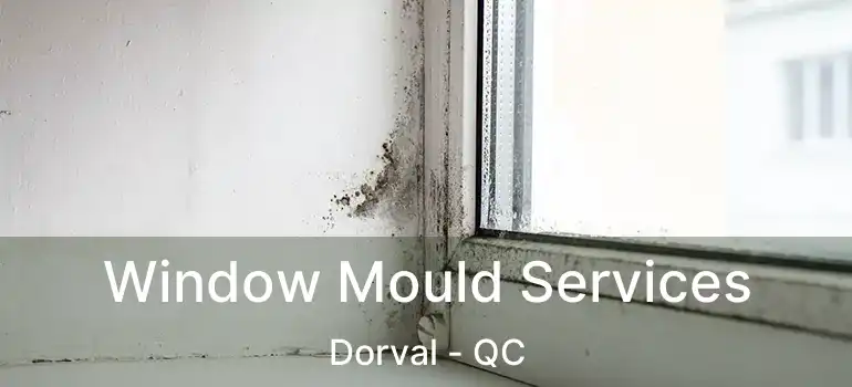  Window Mould Services Dorval - QC