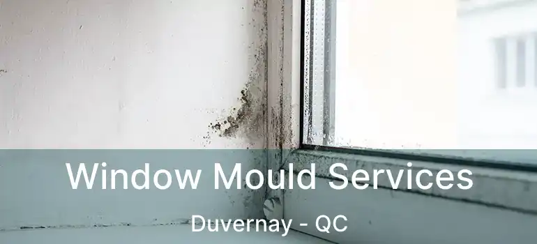  Window Mould Services Duvernay - QC