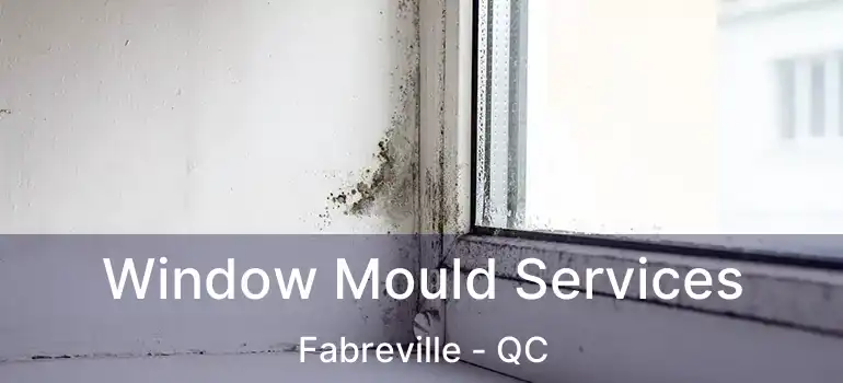  Window Mould Services Fabreville - QC