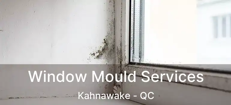  Window Mould Services Kahnawake - QC