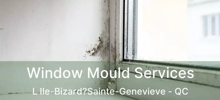  Window Mould Services L Ile-Bizard?Sainte-Genevieve - QC