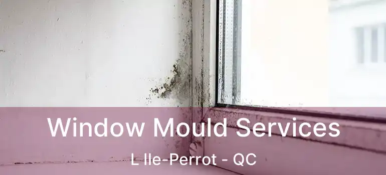  Window Mould Services L Ile-Perrot - QC