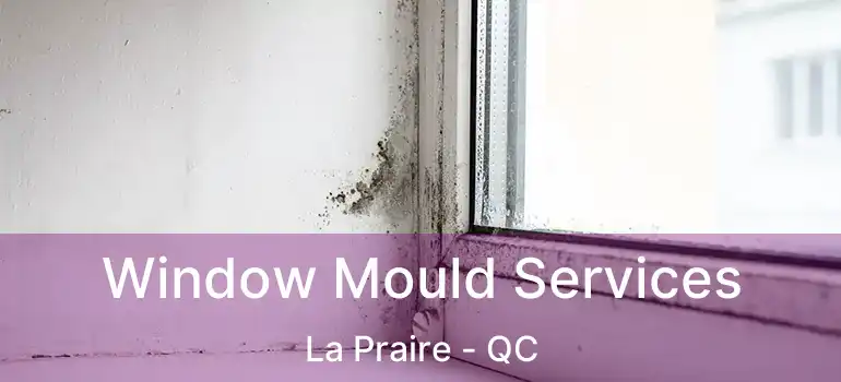  Window Mould Services La Praire - QC