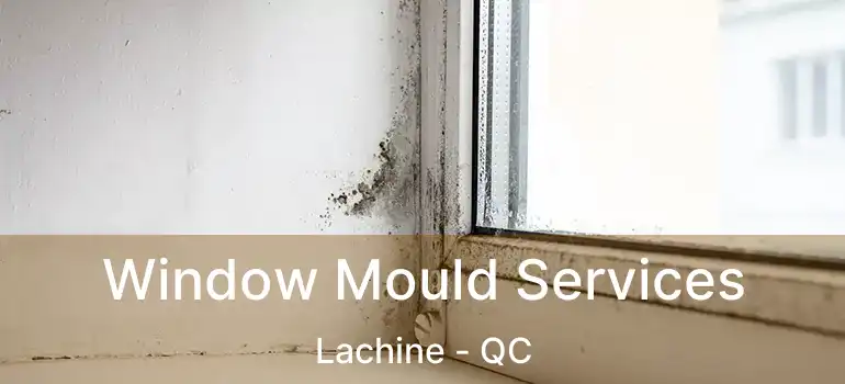  Window Mould Services Lachine - QC
