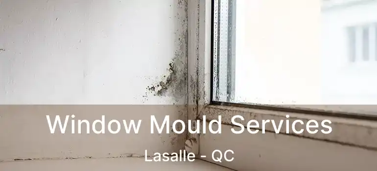  Window Mould Services Lasalle - QC