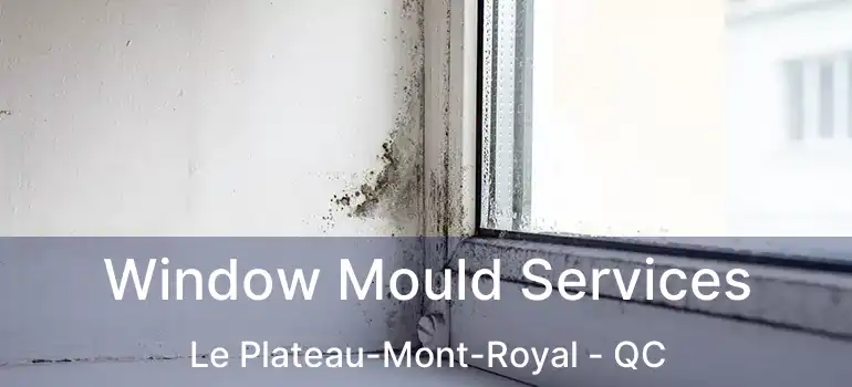  Window Mould Services Le Plateau-Mont-Royal - QC