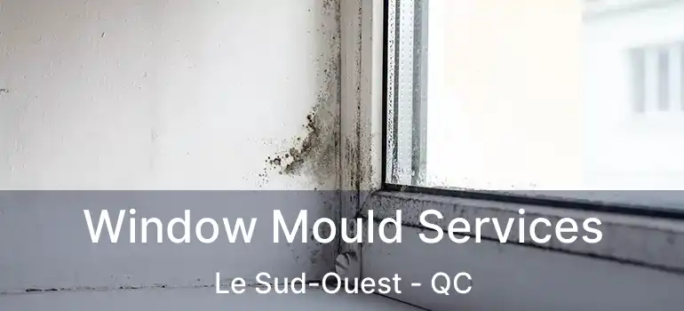  Window Mould Services Le Sud-Ouest - QC