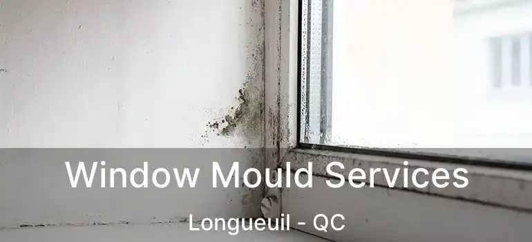  Window Mould Services Longueuil - QC