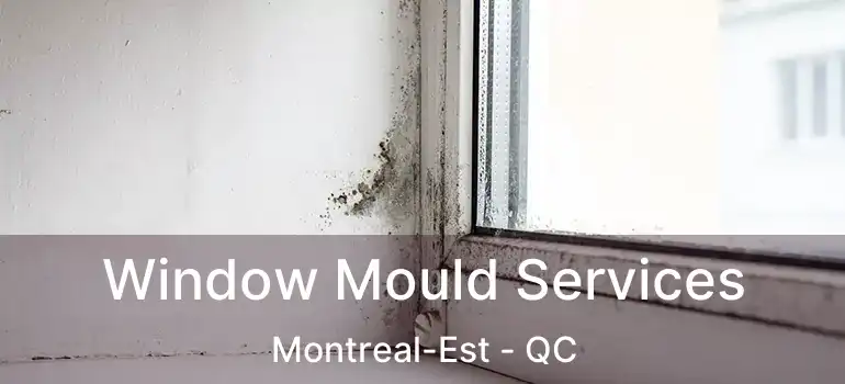  Window Mould Services Montreal-Est - QC