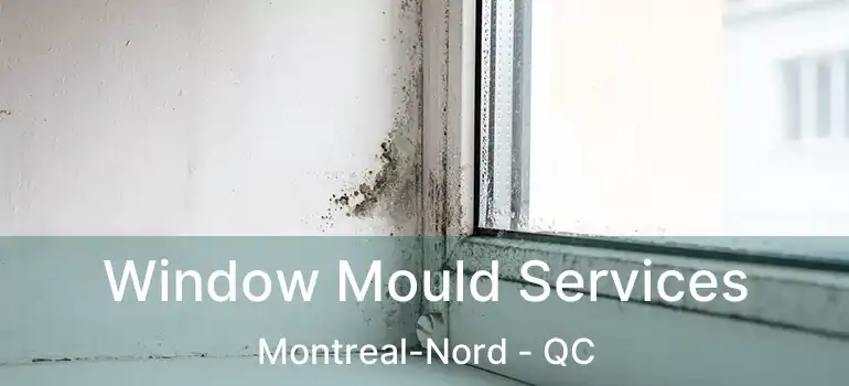  Window Mould Services Montreal-Nord - QC