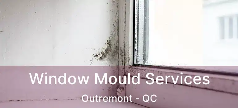  Window Mould Services Outremont - QC