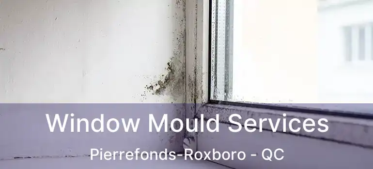  Window Mould Services Pierrefonds-Roxboro - QC