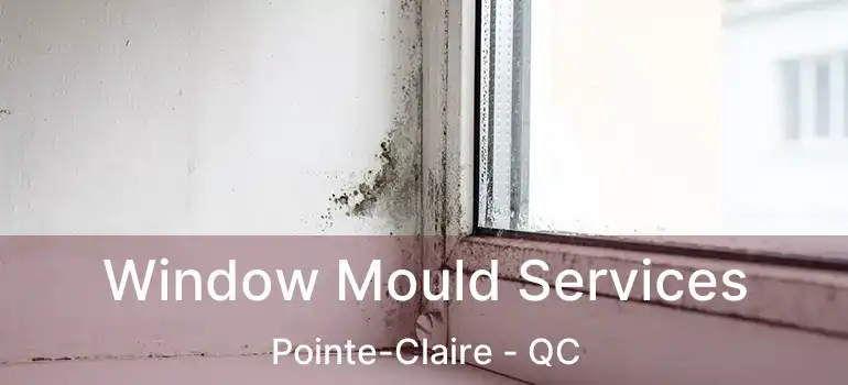  Window Mould Services Pointe-Claire - QC