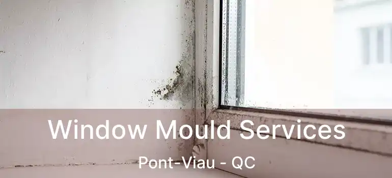  Window Mould Services Pont-Viau - QC