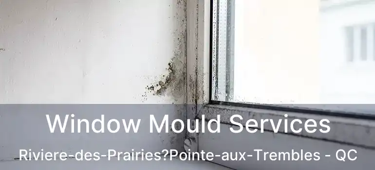  Window Mould Services Riviere-des-Prairies?Pointe-aux-Trembles - QC