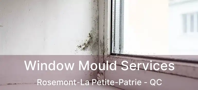  Window Mould Services Rosemont-La Petite-Patrie - QC