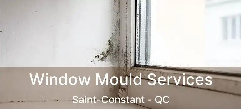  Window Mould Services Saint-Constant - QC