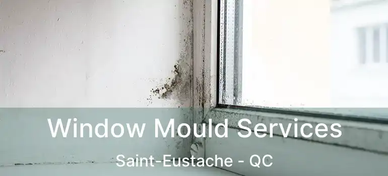  Window Mould Services Saint-Eustache - QC