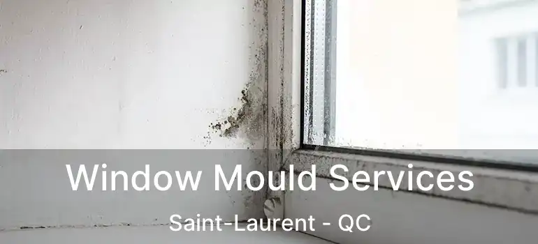  Window Mould Services Saint-Laurent - QC