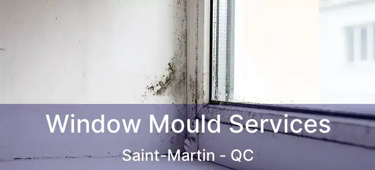  Window Mould Services Saint-Martin - QC