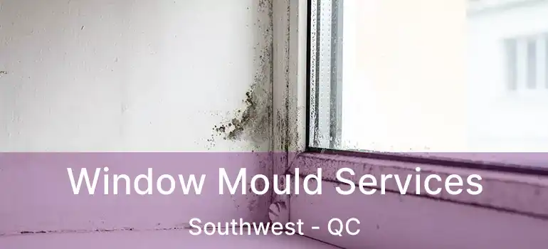  Window Mould Services Southwest - QC