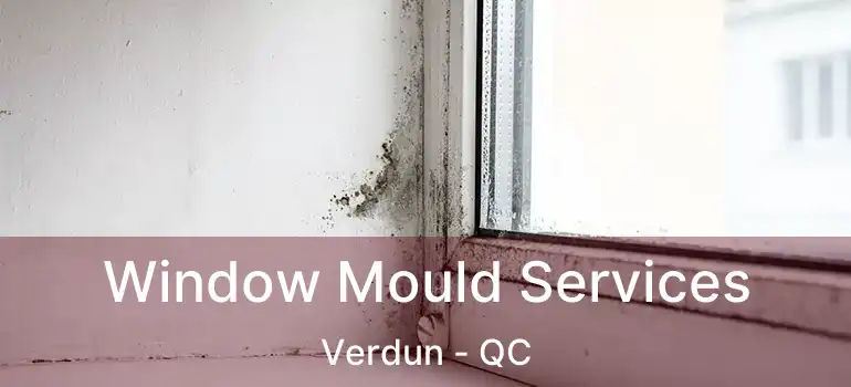  Window Mould Services Verdun - QC