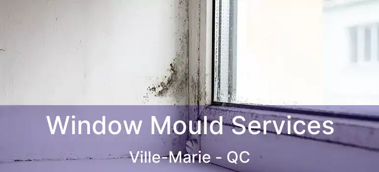  Window Mould Services Ville-Marie - QC