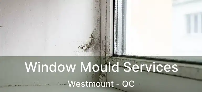  Window Mould Services Westmount - QC