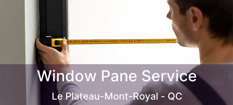  Window Pane Service Le Plateau-Mont-Royal - QC