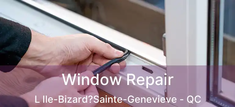  Window Repair L Ile-Bizard?Sainte-Genevieve - QC