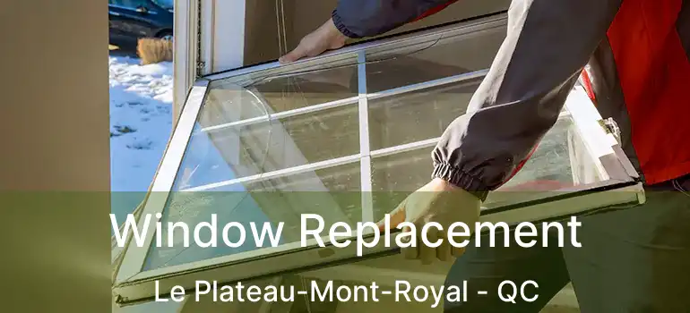  Window Replacement Le Plateau-Mont-Royal - QC